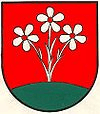 Wappen Gemeinde Deutsch Jahrndorf