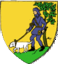 Wappen Stadtgemeinde Gföhl