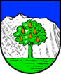 Wappen Gemeinde Wals-Siezenheim