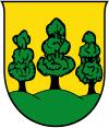 Wappen Stadtgemeinde Saalfelden am Steinernen Meer