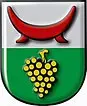 Wappen Marktgemeinde Tieschen