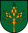 Wappen Gemeinde Wildermieming