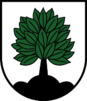 Wappen Gemeinde Elbigenalp