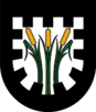 Wappen Gemeinde Pinswang