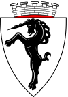 Wappen Stadtgemeinde Bludenz