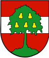 Wappen Stadtgemeinde Dornbirn