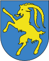 Wappen Stadtgemeinde Hohenems